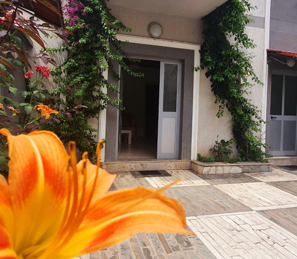 A Cheerful Villa With Free Parking Space Тирана Экстерьер фото
