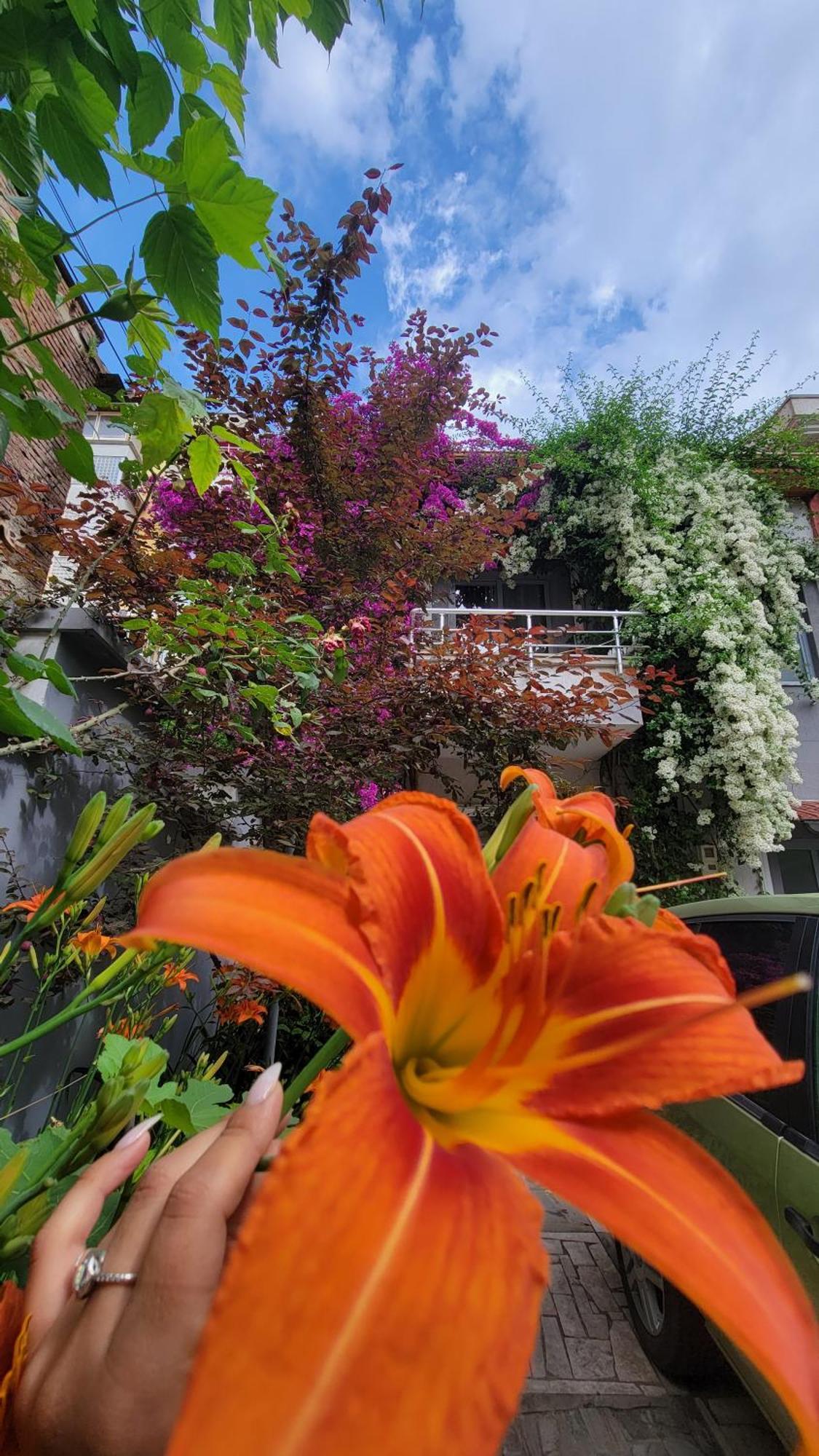 A Cheerful Villa With Free Parking Space Тирана Номер фото